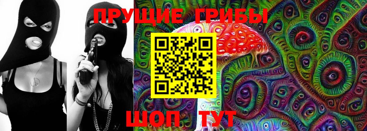 Галлюциногенные грибы Psilocybe Аша