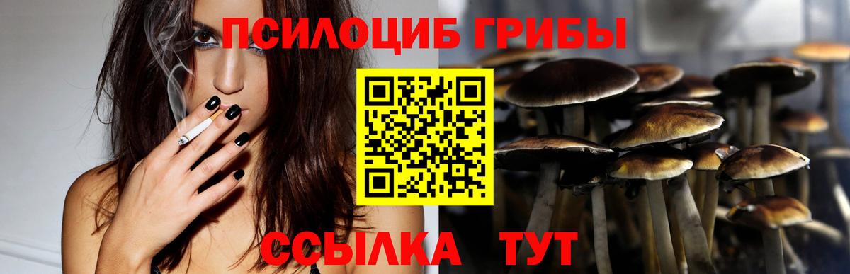 закладка  Псилоцибиновые грибы прущие грибы  Вход с VPN  Псилоцибиновые грибы Psilocybe  Аша 